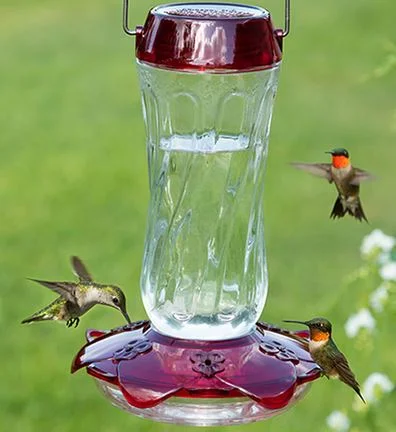 Classic Hummingbird Feeder Varietees Bird Store
