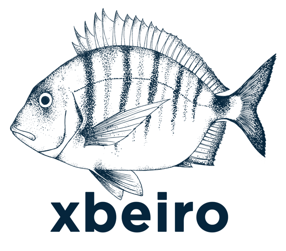 xbeiro | motion graphics & underwater video