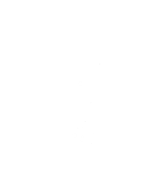 Shoot To Kill NYC