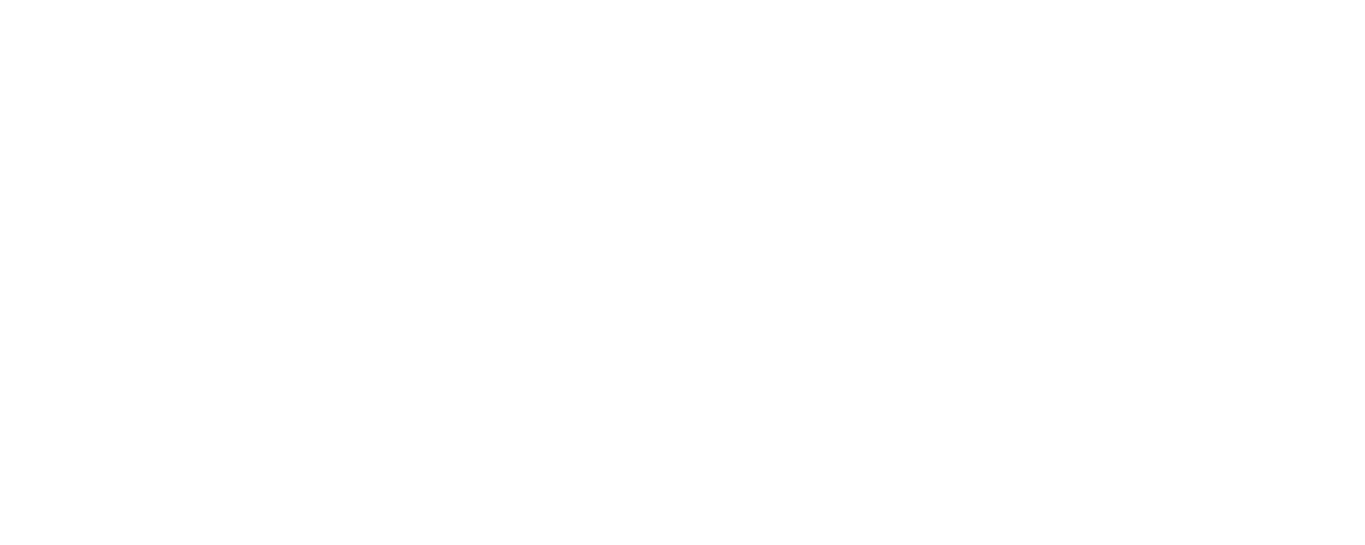 BLS Venture Capital