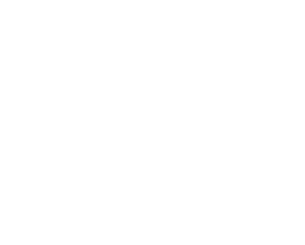French Twist