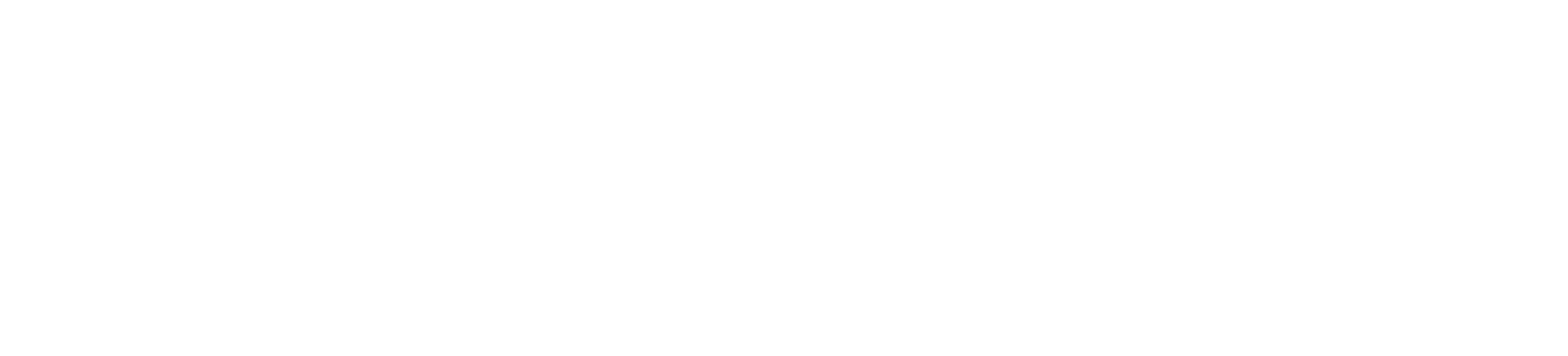 Reset Button 