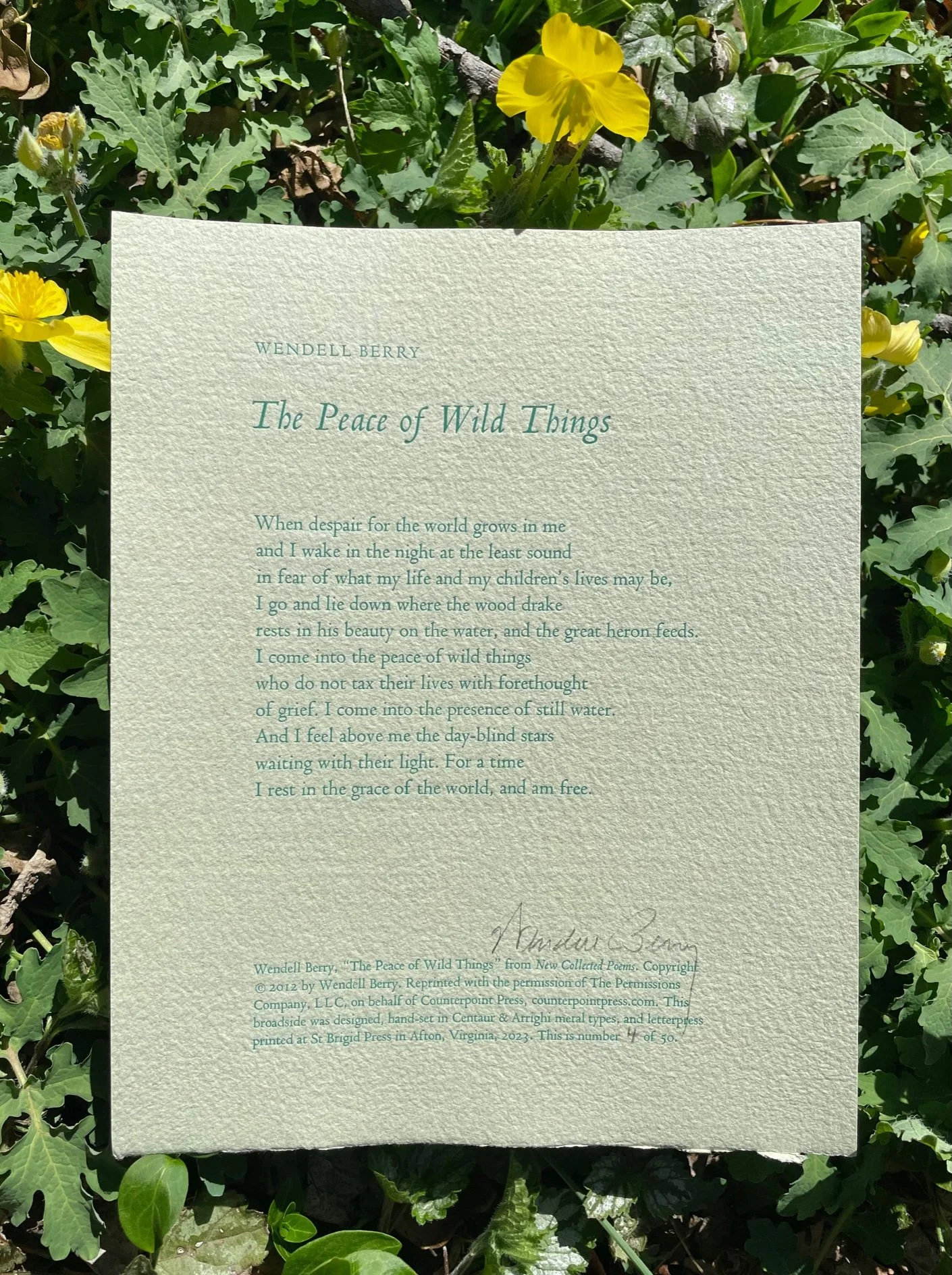 The Peace Of Wild Things: And Other Poems By Wendell Berry – Paperback, UK Edition