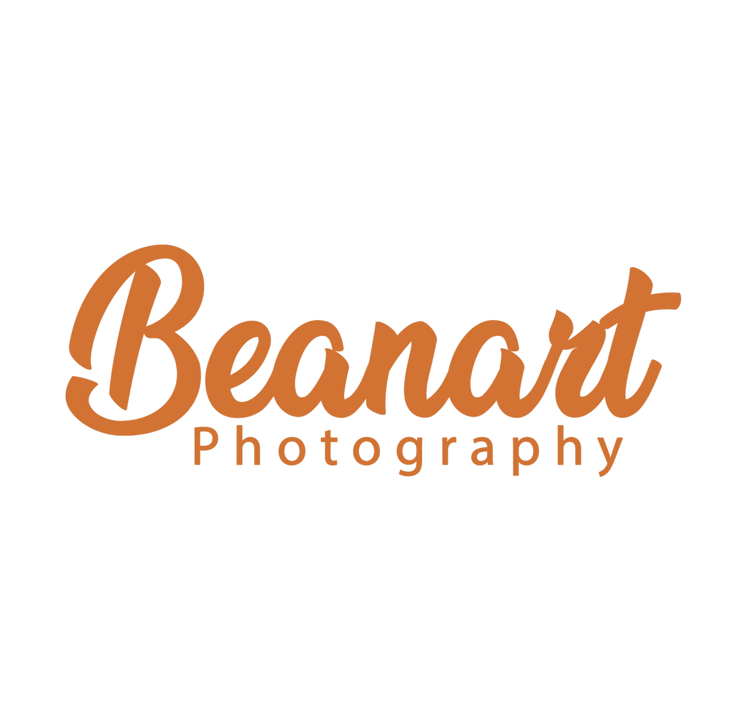 Beanart Photography - Rochester Wedding Photographer