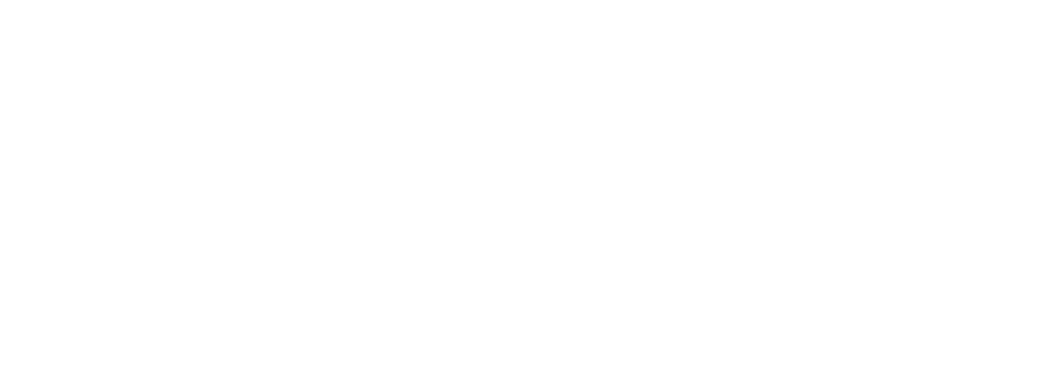 Soryn Capital