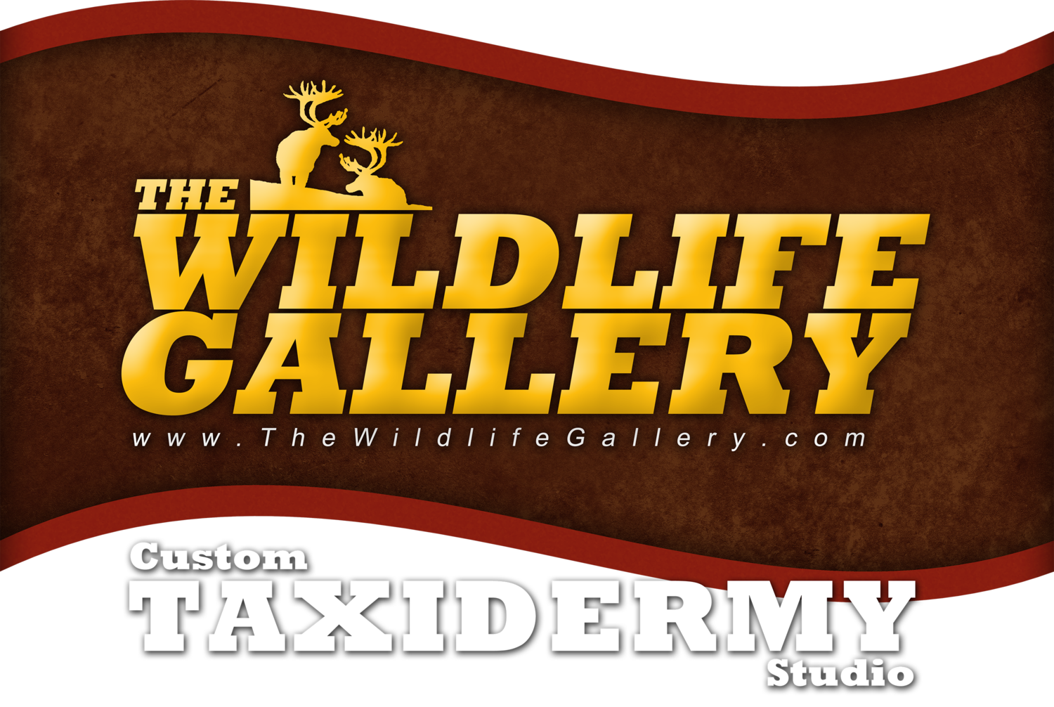 The Wildlife Gallery Custom Taxidermy Studio