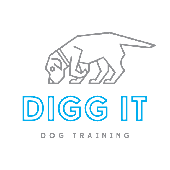 Digg It Dog Training