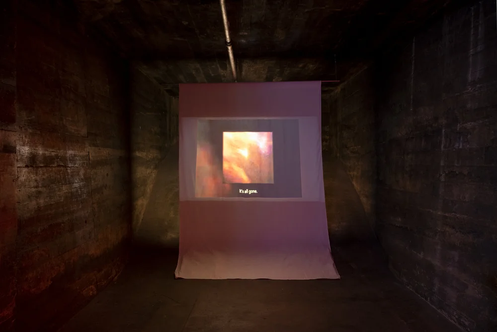 VR_ShaneDedman (3).jpg