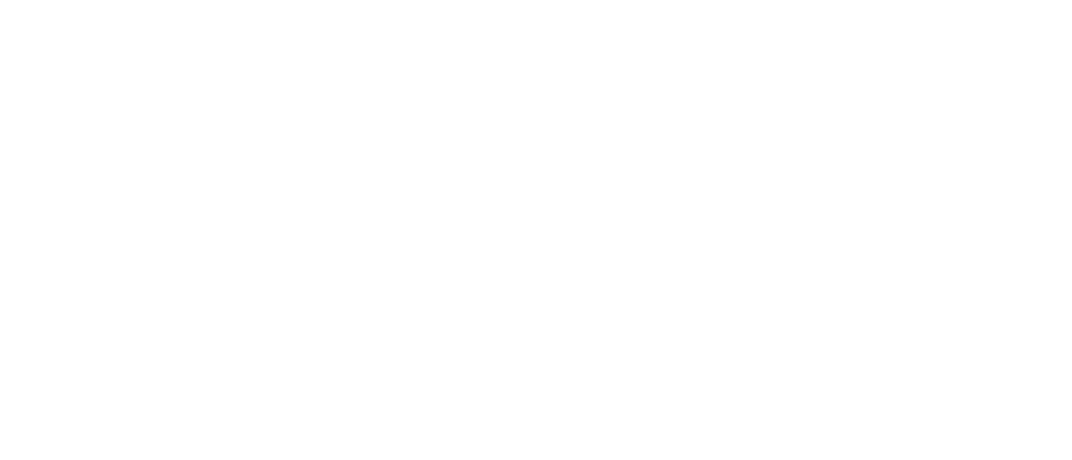 New York Capital Properties