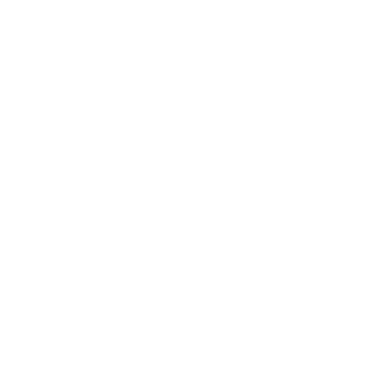 DJ Reese