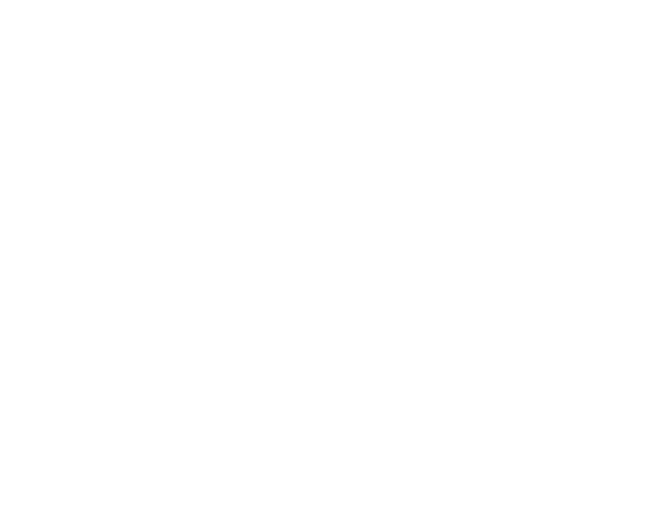 THE 101