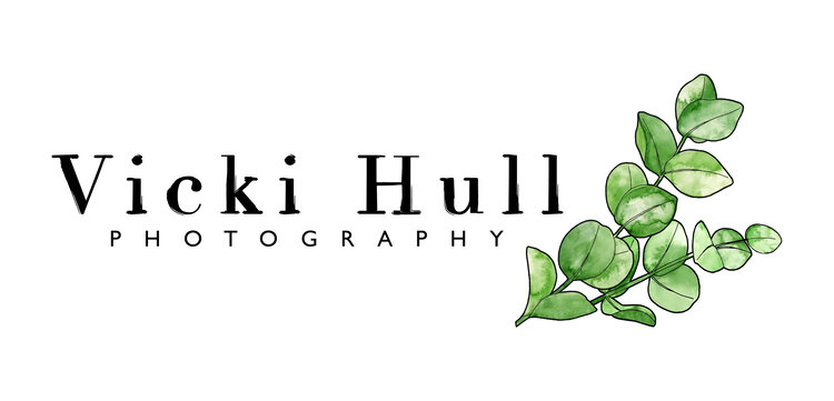 Vicki Hull Photography