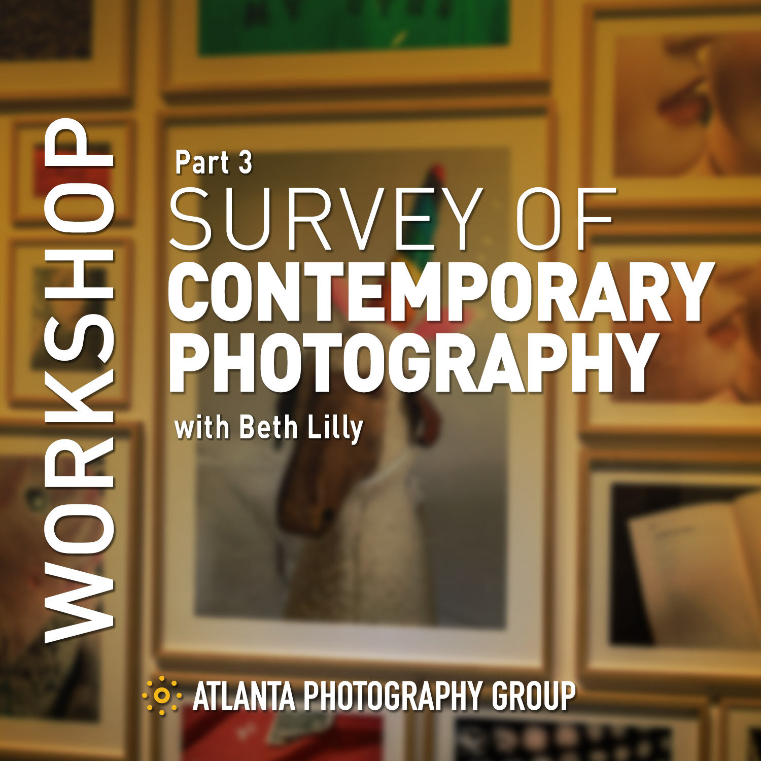 作坊_SurveyOfContemporaryPhotography_v4.jpg