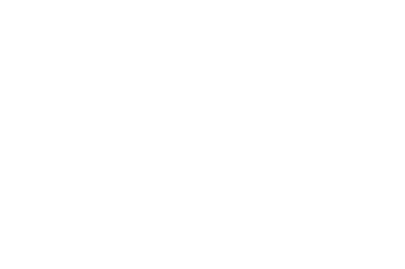 Wave Riot Music