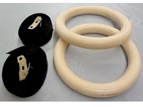 iron bull gymnastic rings