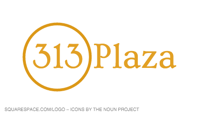 313 Plaza