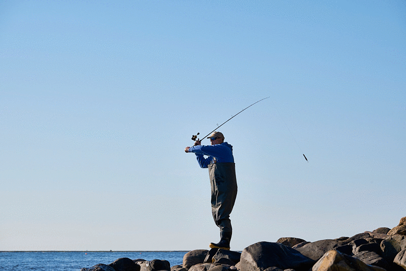 Shimano Dialuna S96M 9'6%22 8-45g lure rod.gif