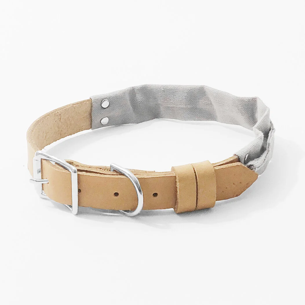 awesome dog collars