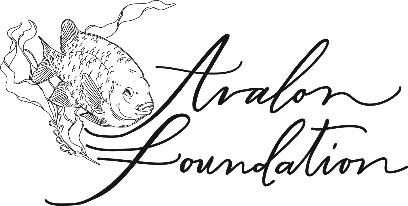 Avalon Foundation