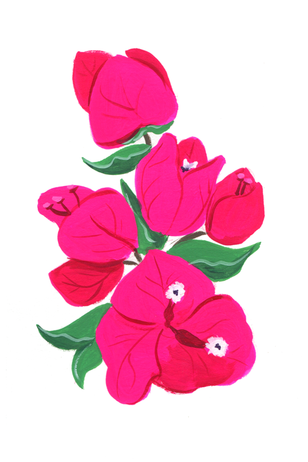 02_bougaiinvillea600.png