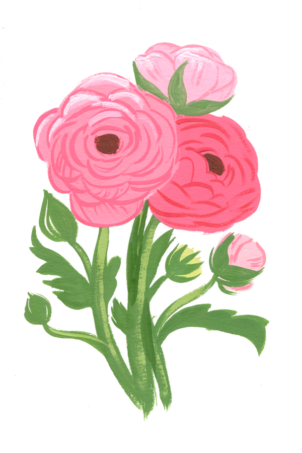 17_ranunculus600.png