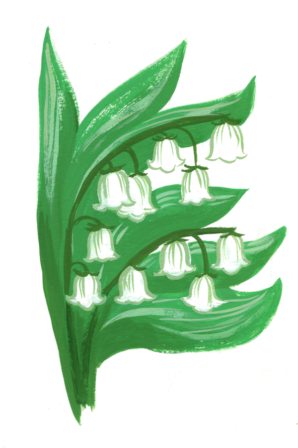 26_lilyofthevalley600.png