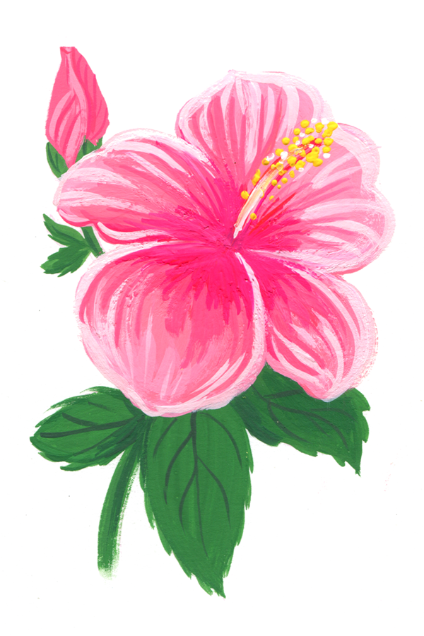 30_hibiscus600.png