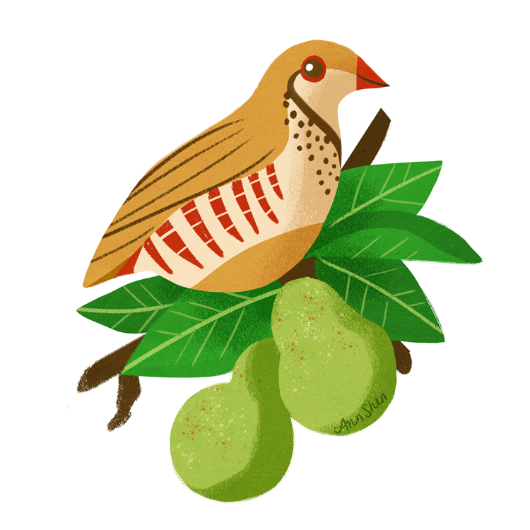 151214_partridgeinapeartree.png