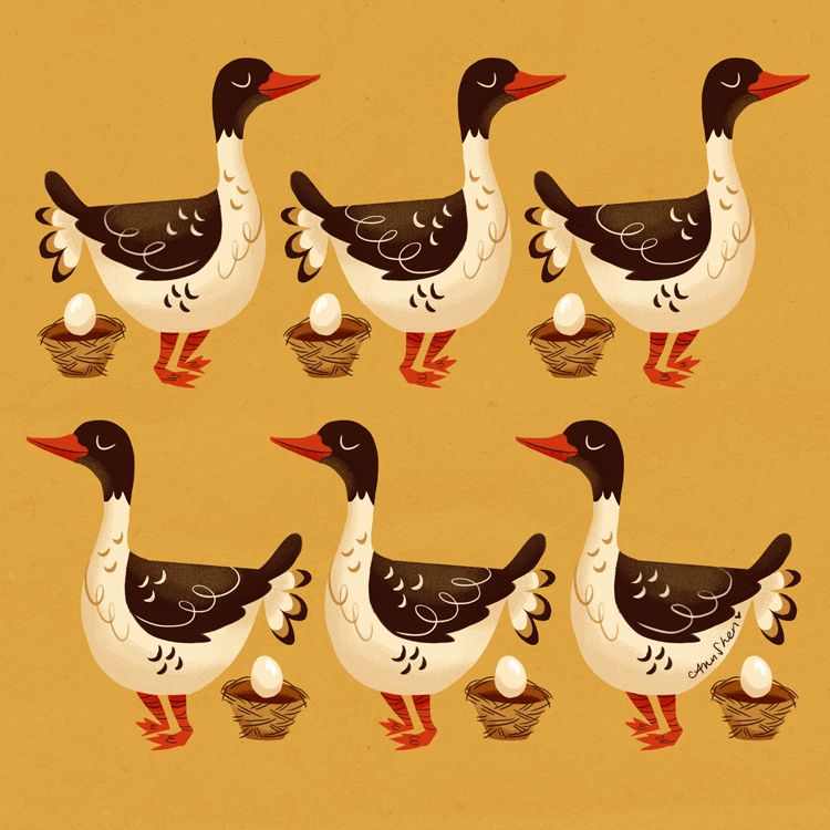 151219_sixgeeselaying.png