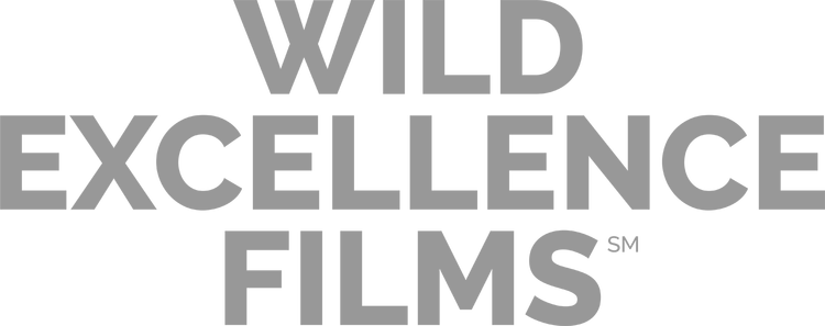 Wild Excellence Films