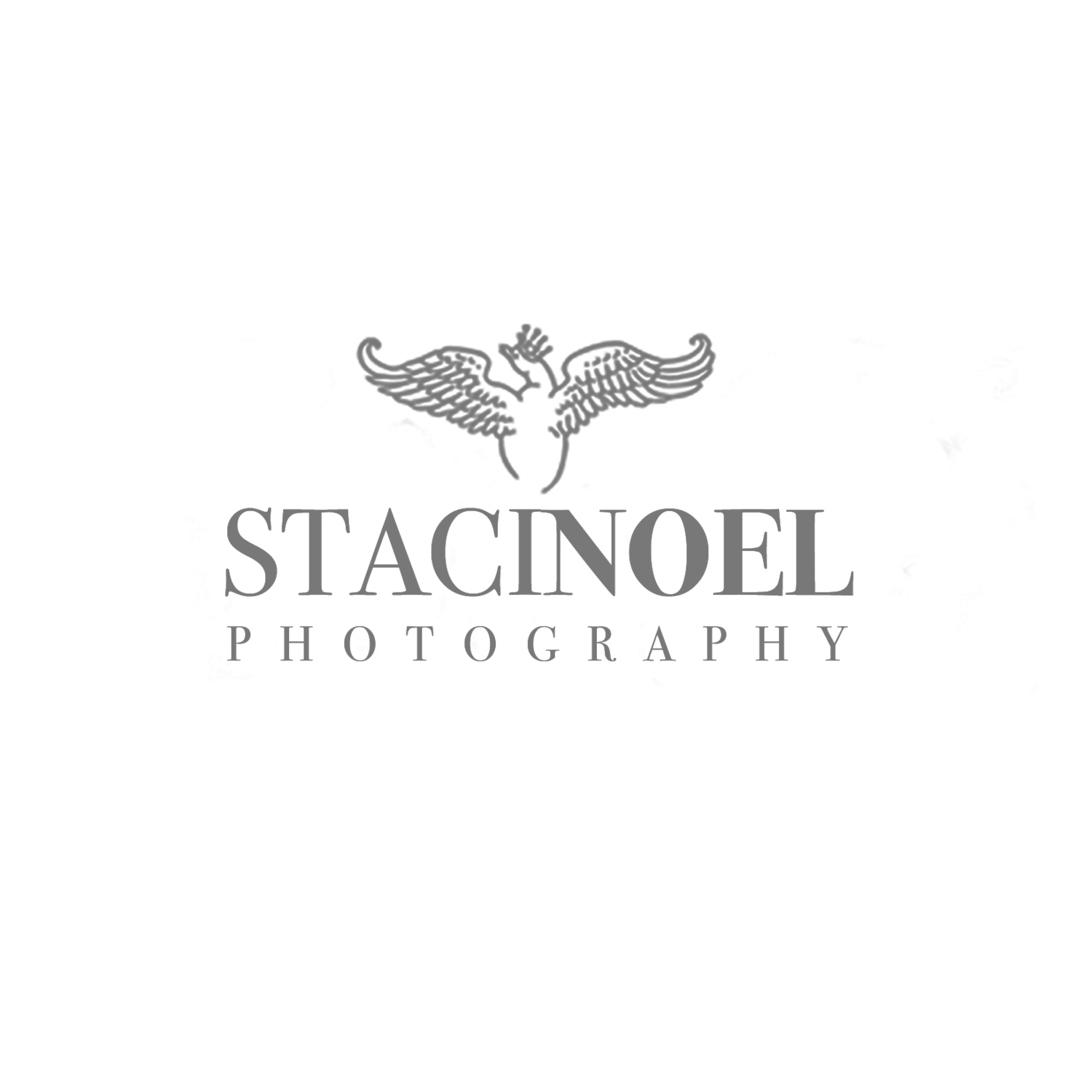 Charlotte NC Photographer | Staci Noel Photography