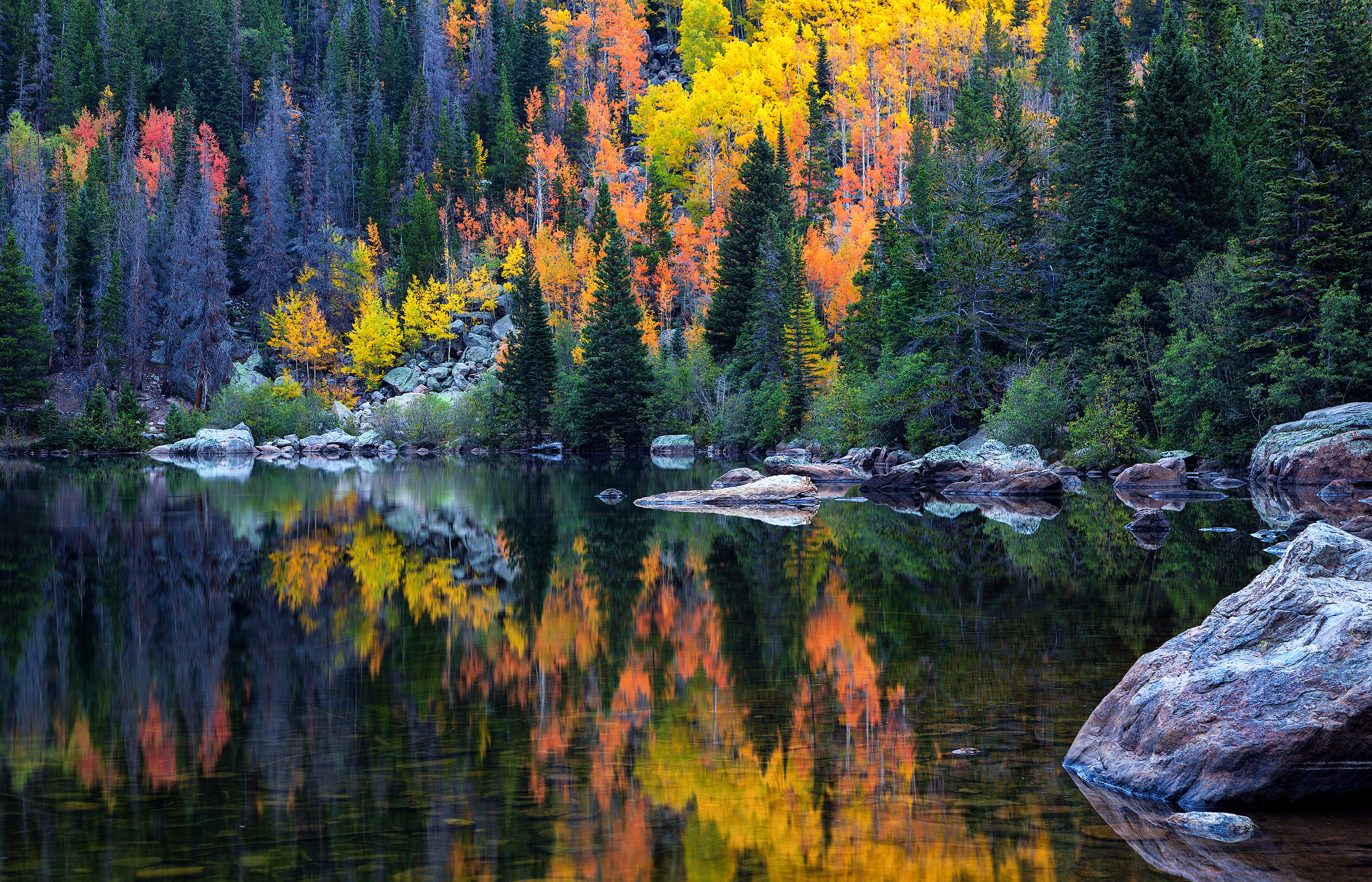Fall At Bear Lake Rocky Mountain National Park Ryan Wright