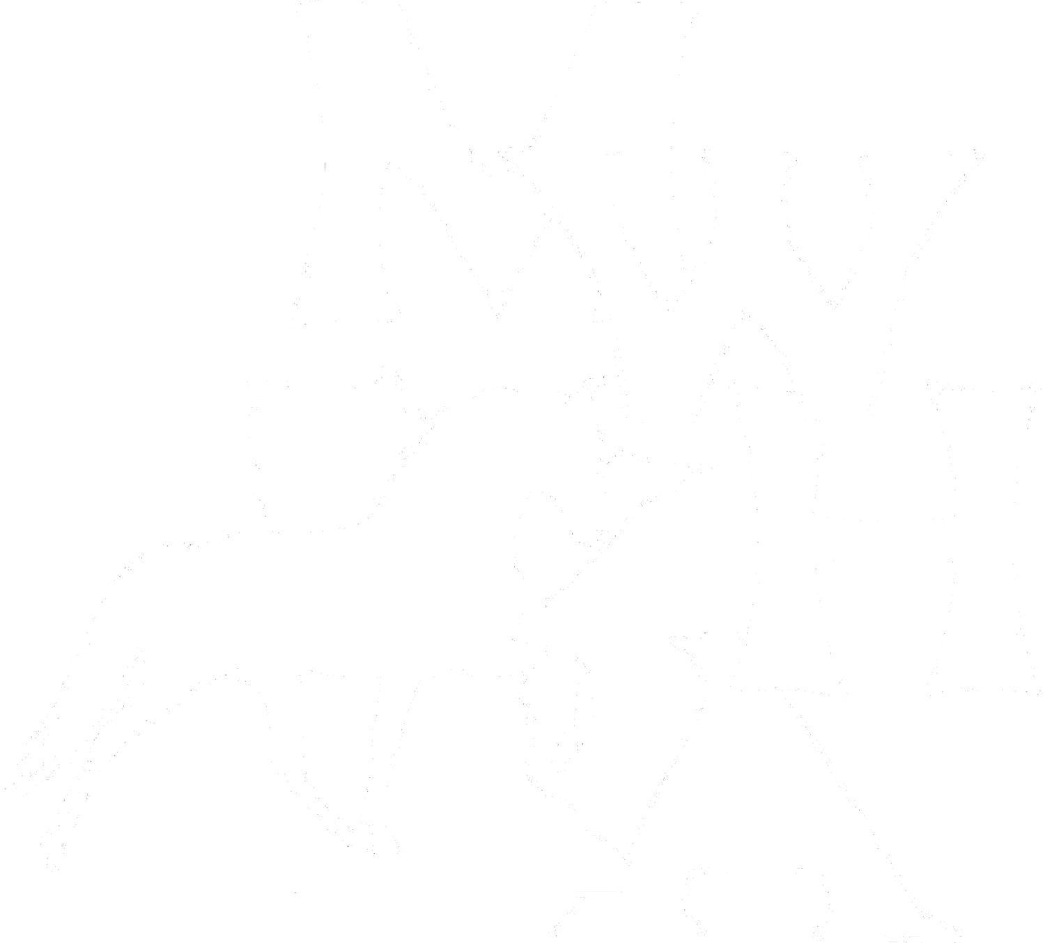 Minnesota Walking Horse Association