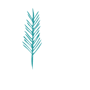 Rise Performance Coaching