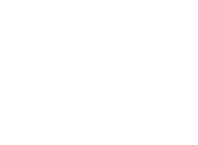 Life's a Beach Shoreline Services