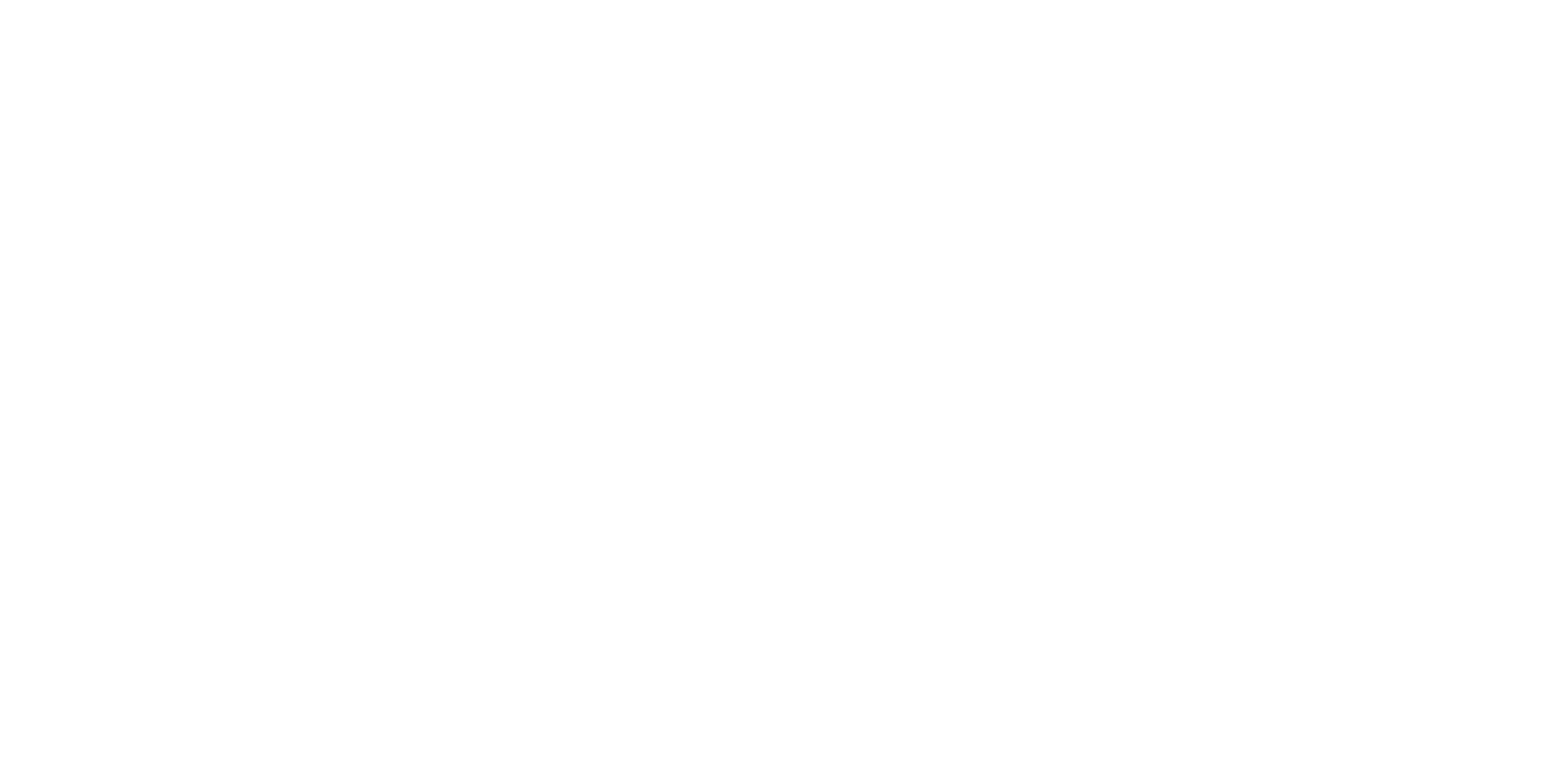 refineconquer.com