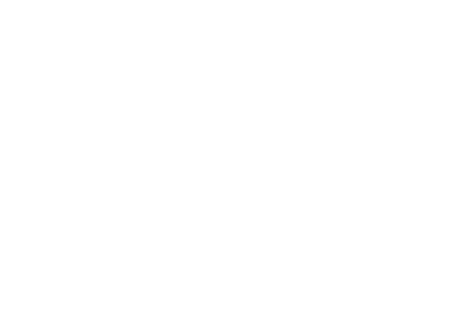 True Pacific Insurance Services