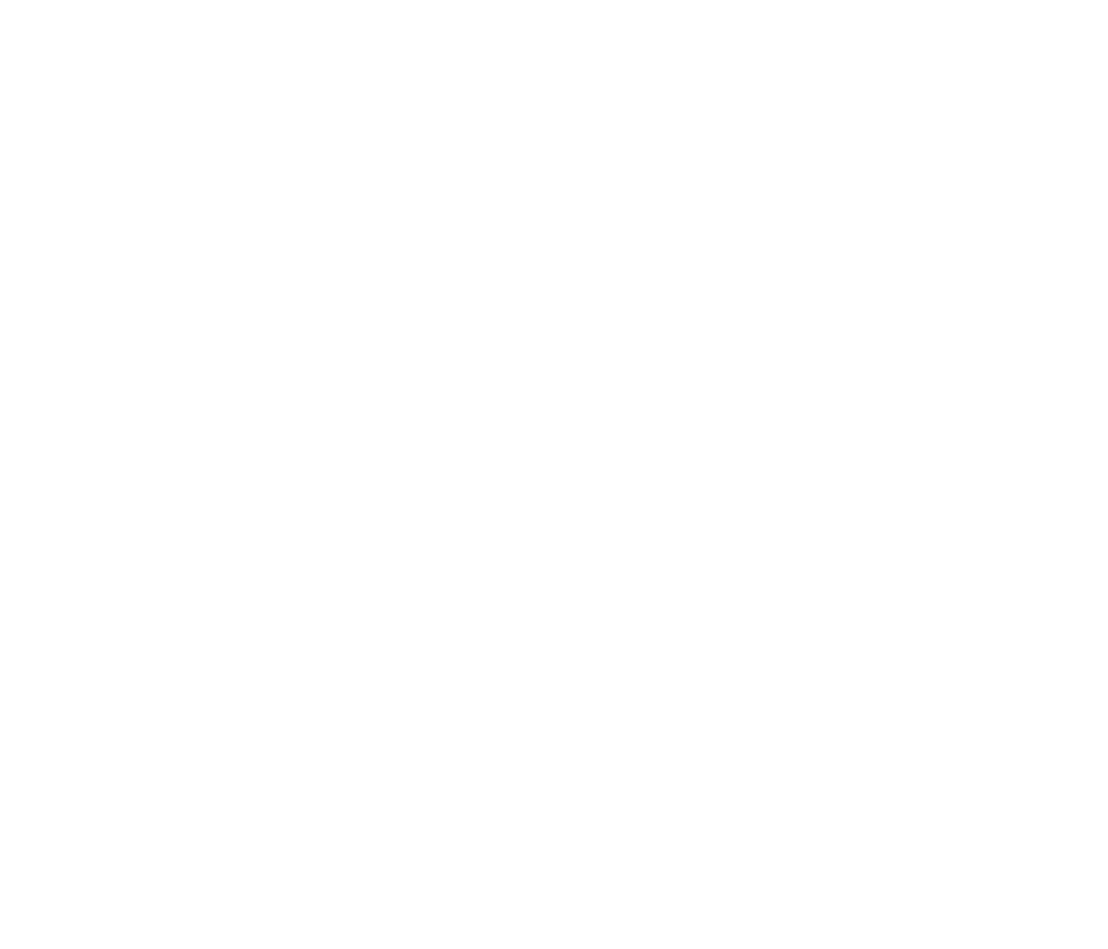 Demon, Wise & Partners