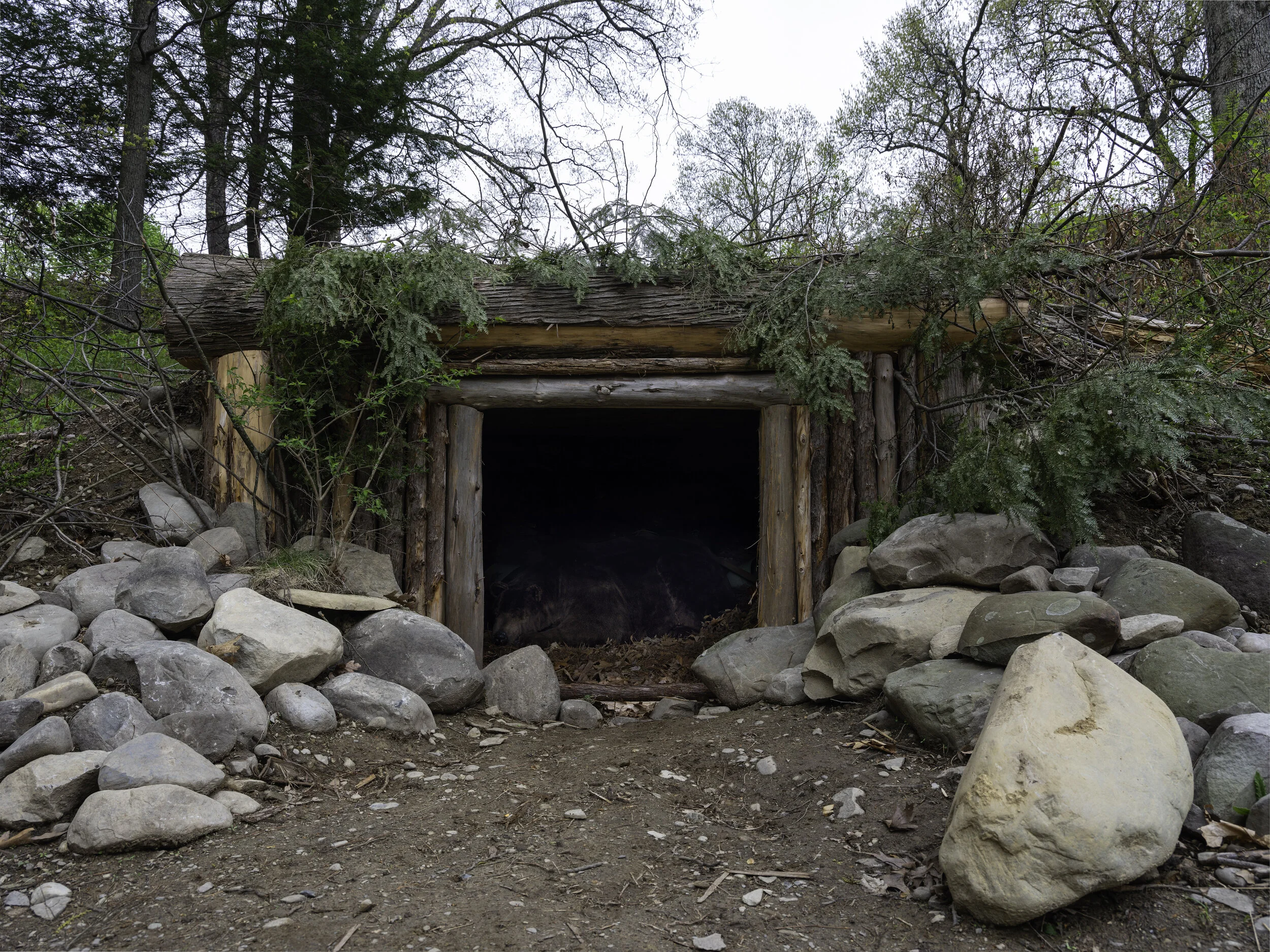TBG20392_Grotto Sleeping Bear_01.jpg