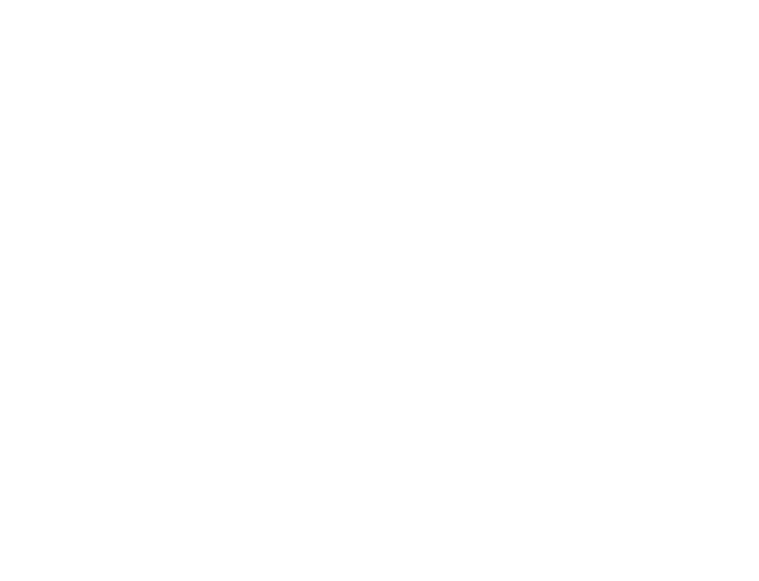 THE BSFF