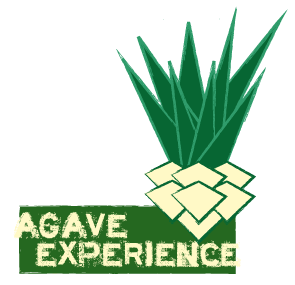 Agave experience