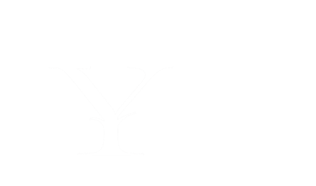 THE YORK