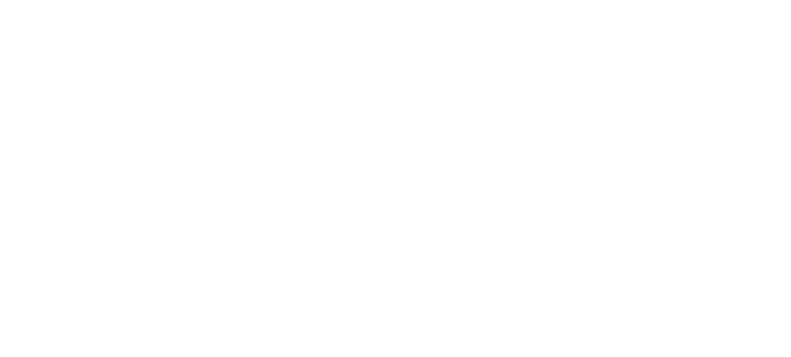 EVERYDAY CHAMPION