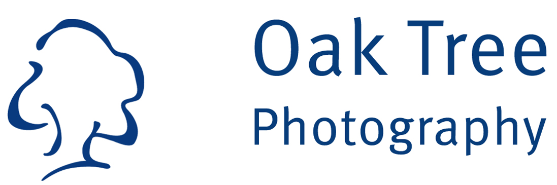 Oak Tree Photography