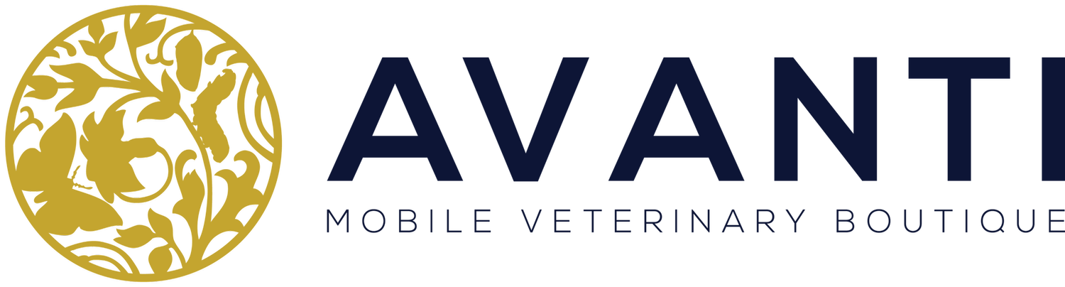 AVANTI