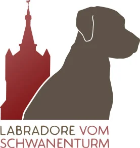 Labradore vom Schwanenturm – Kleve