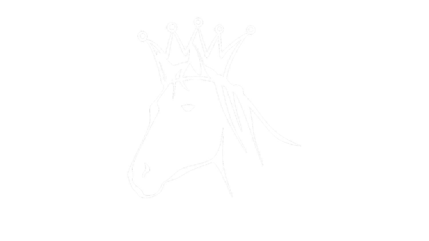 King Horse Films