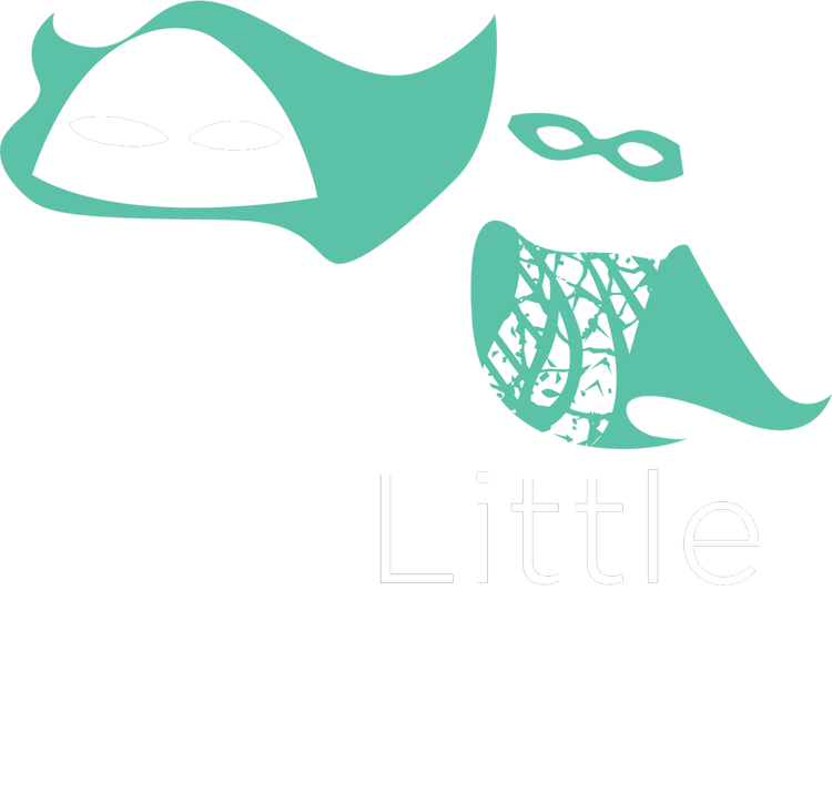 Big Little Hero Race