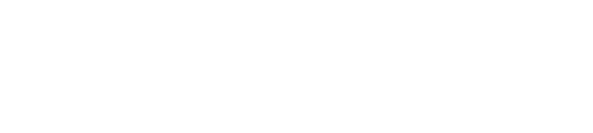 CASEY FANG