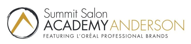 our-level-system-anderson-summit-salon-academy